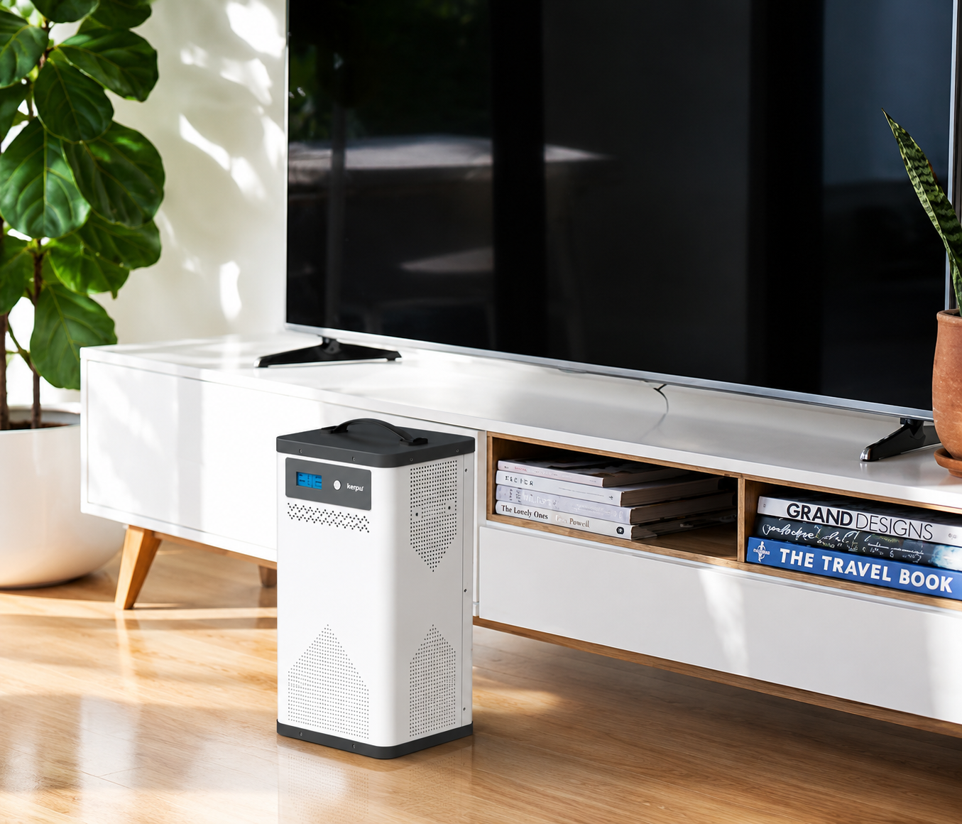 Home Emergency Backup Power